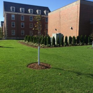 Wheaton college landscape project