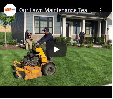 Our Lawn Maintenance Team in Action