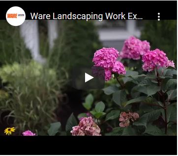 Ware Landscaping Work Example