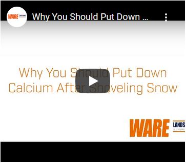 Why You Should Put Down Calcium After Shoveling Snow