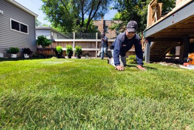 Two men installing beautiful green lawn in a yard