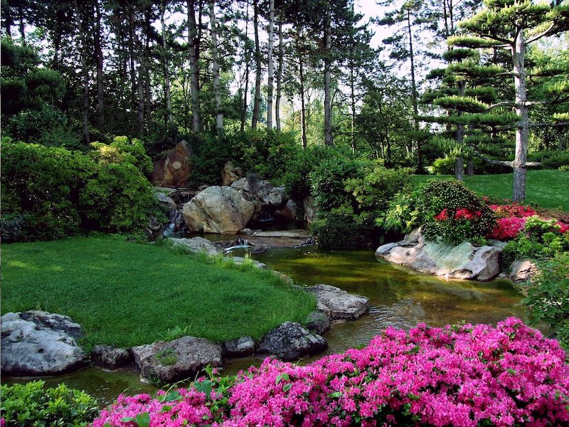 Make Your Drainage Ditch Look Beautiful