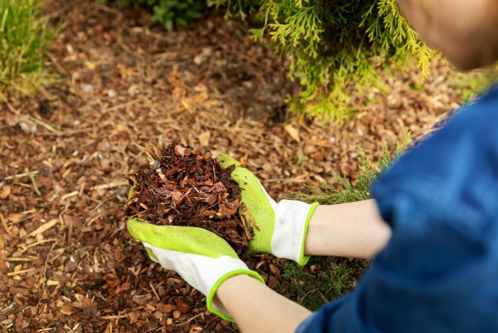 A person picking up garden mulch while doing low maintenance landscaping