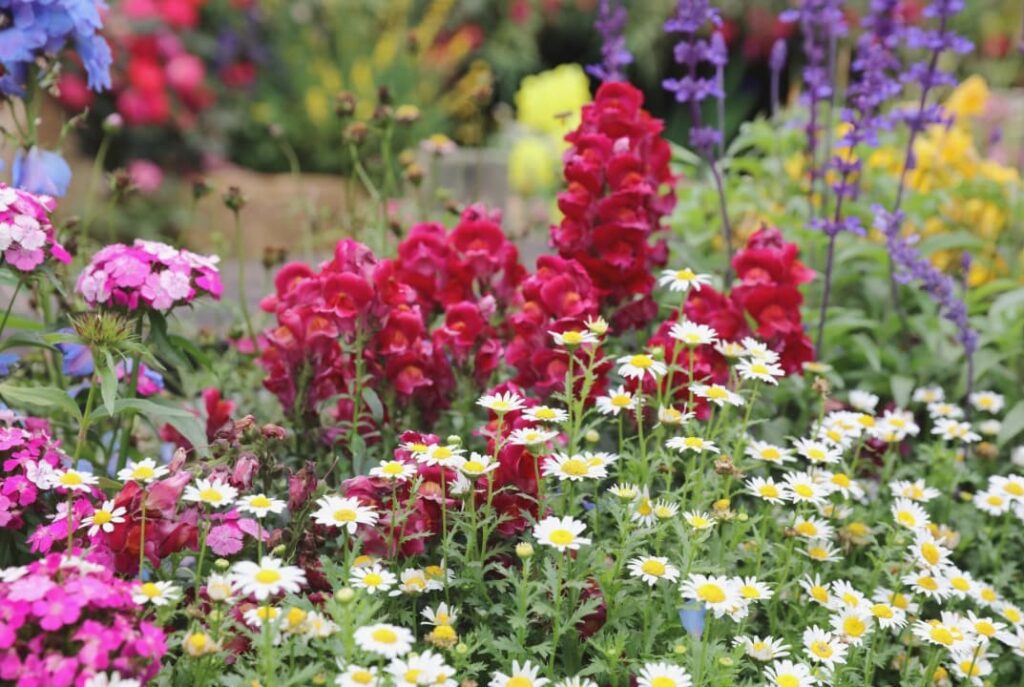 A flower bed of perennials that are ideal for low maintenance landscaping
