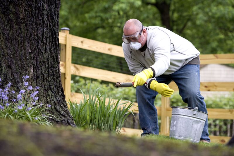 A man in a mask applying fertilizer to plants near a tree