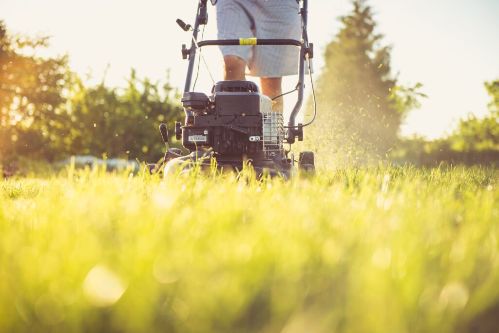 A man using a lawn mower on a sunny day