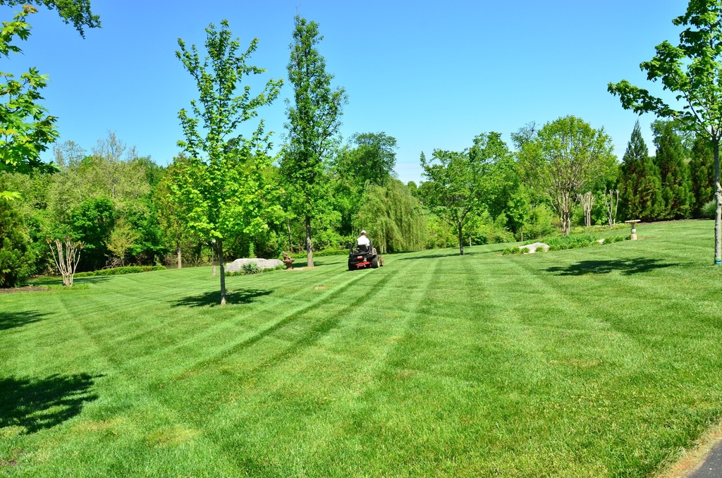 A man on a ride-on mower doing lawn maintenance