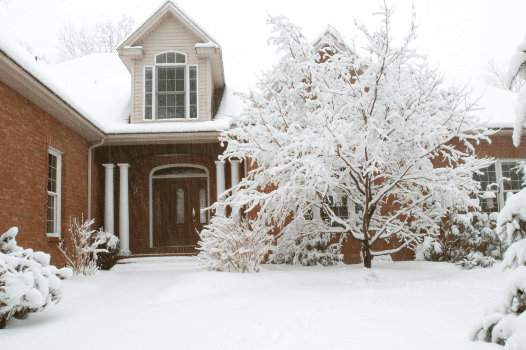 A house and tree covered in snow.