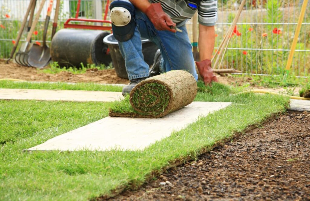 A man laying sod for garden lawn