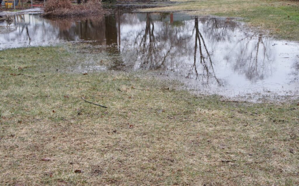 A flooded yard in the brown grass