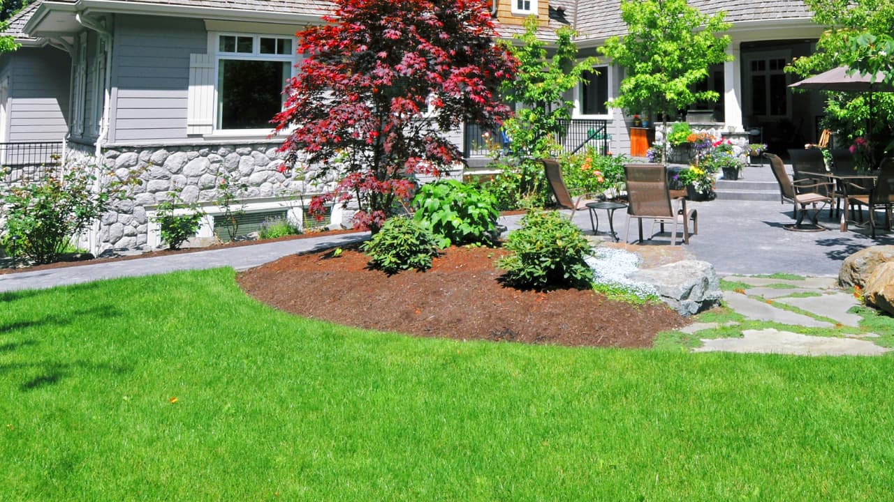 Get Ahead of Landscape Drainage Problems - Ewing