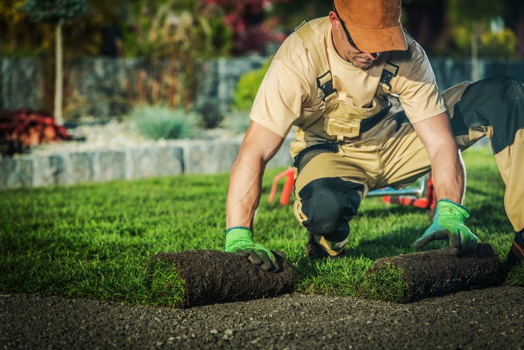 A professional landscaper doing yard work