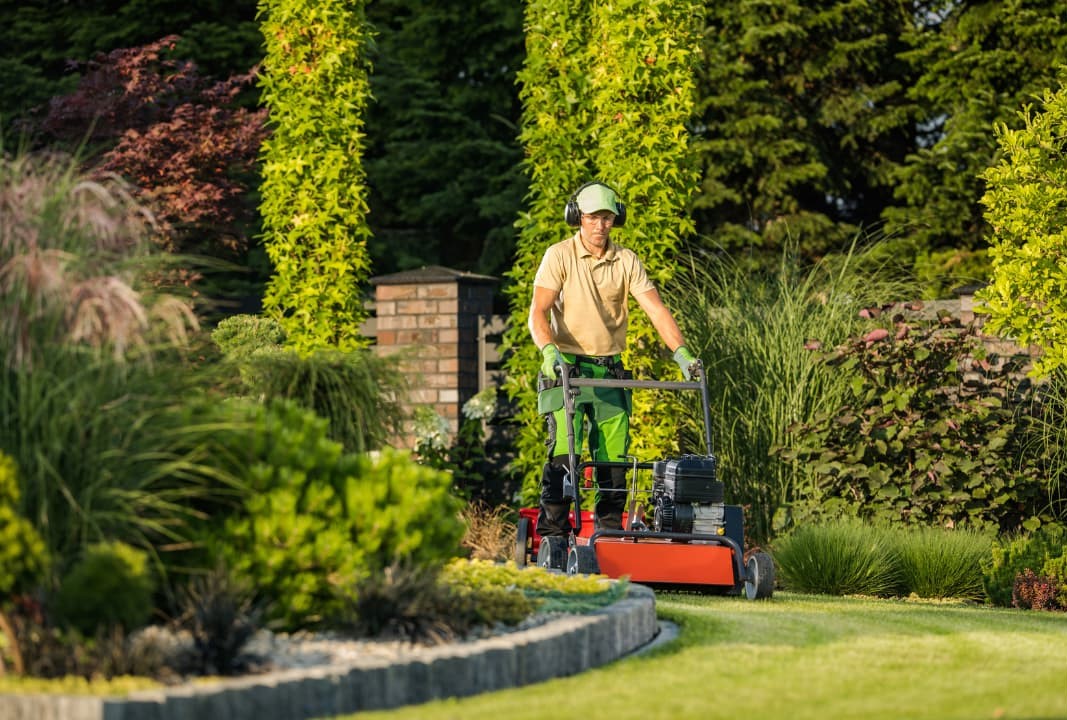 Garden lawn maintenance