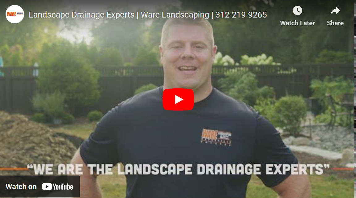 Yard Drainage Experts