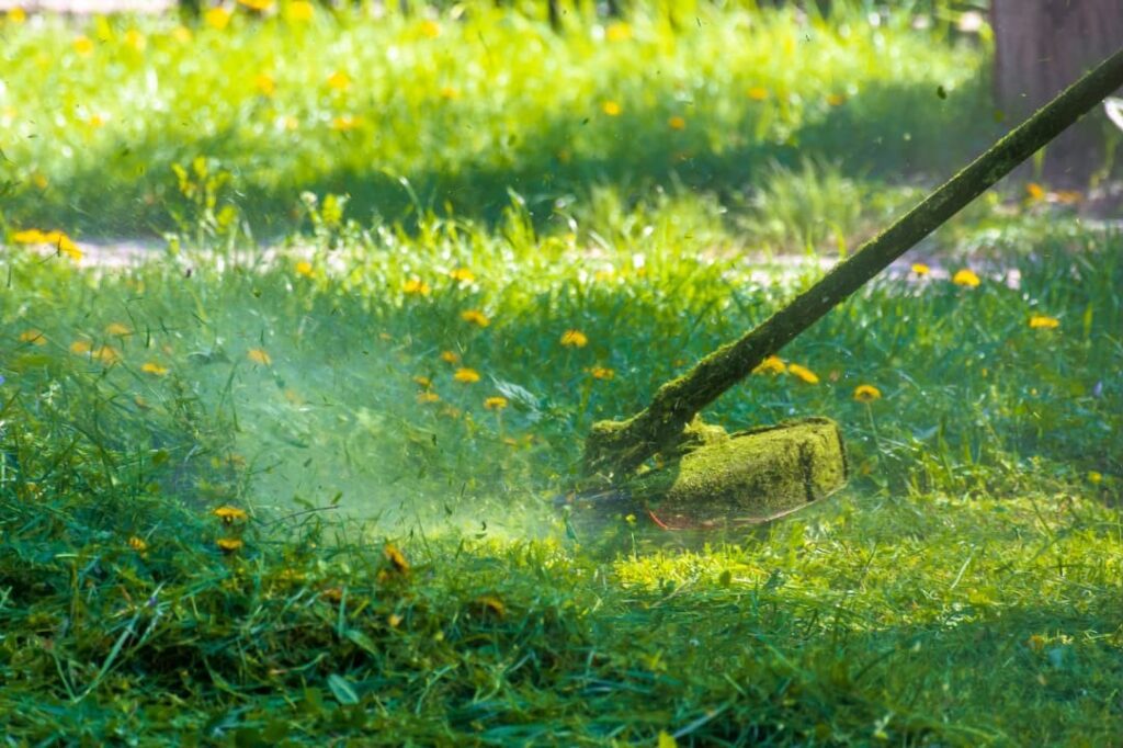 A close up of a grass cutter being used in the yard
