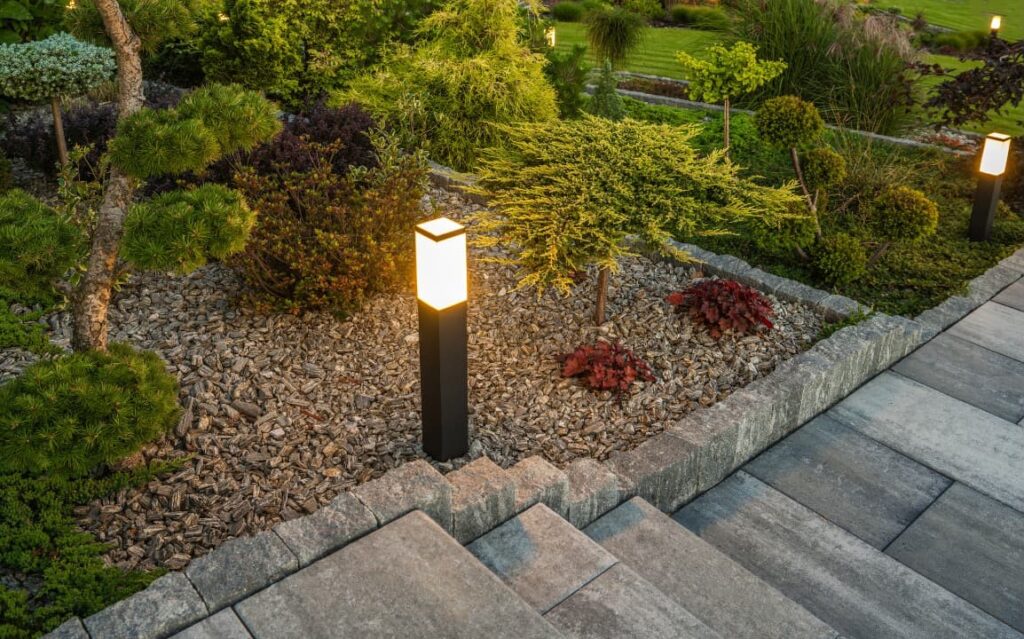 Outdoor lighting in a professionally landscaped backyard