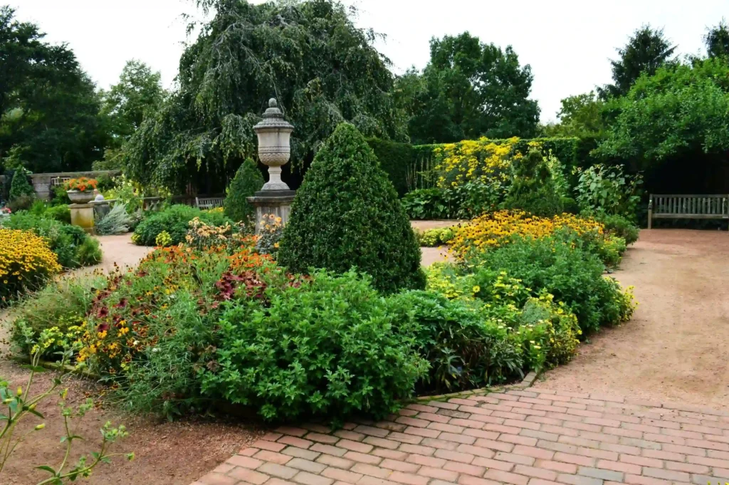 garden filled with a lot of flowers