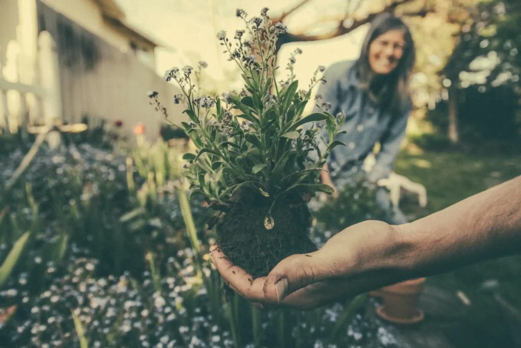 Man holding a flower from the garden in his hands