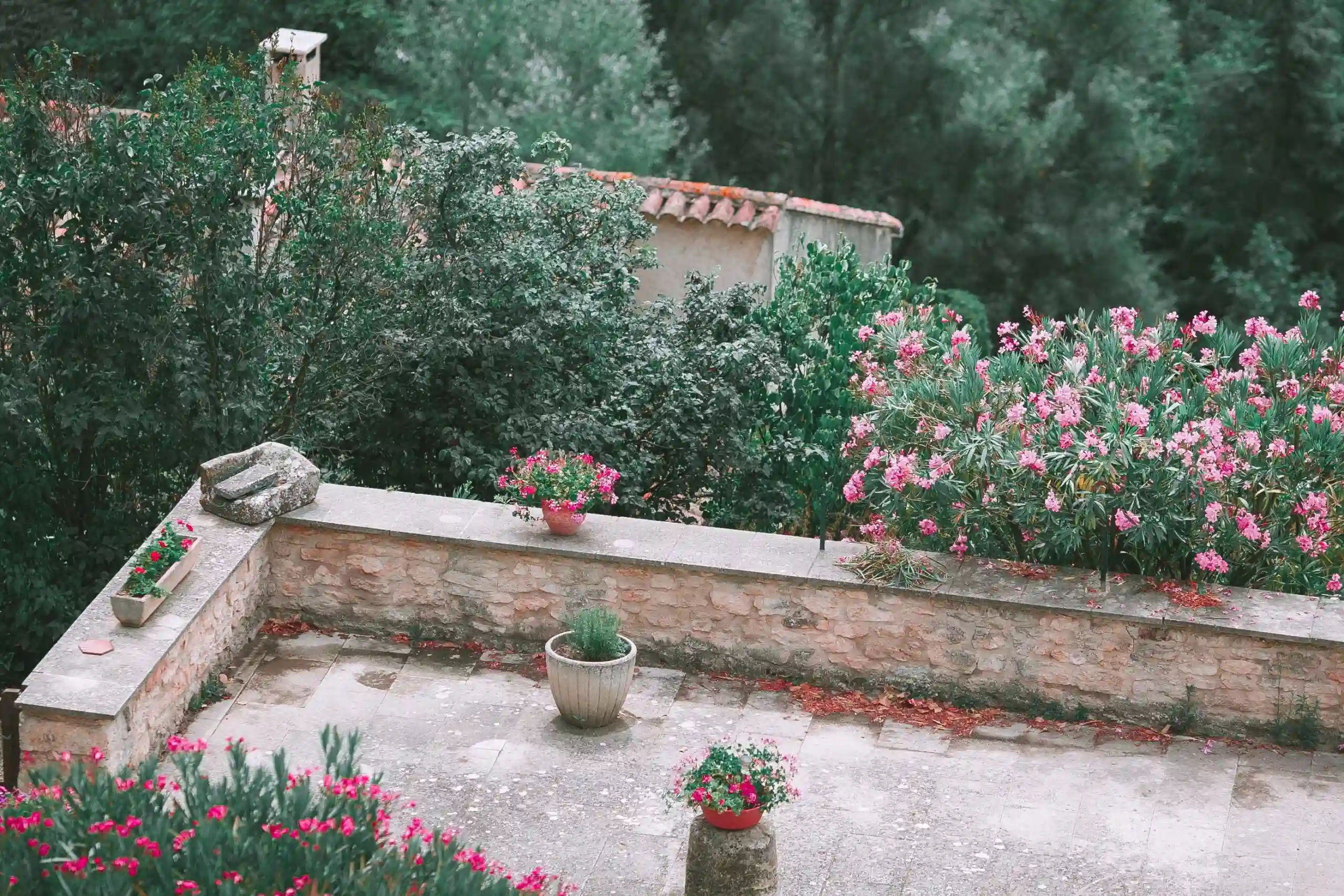 Potted plants and blooming flowers growing on balcony of stone house