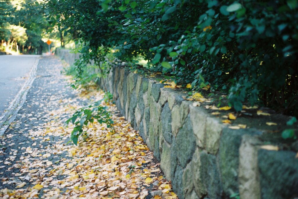 retaining wall beside a road