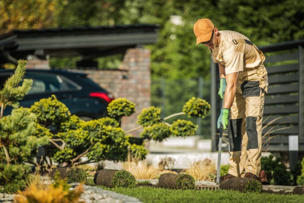 An expert installing yard natural grass turfs while landscaping a Naperville yard