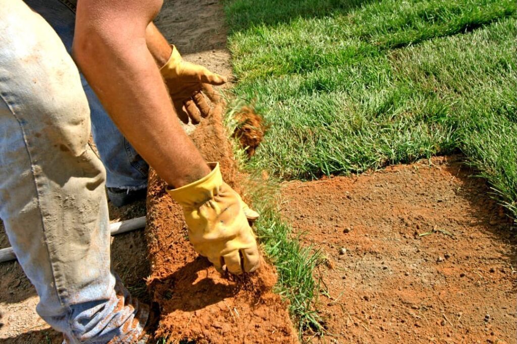 A man installing garden sod after french drain installation