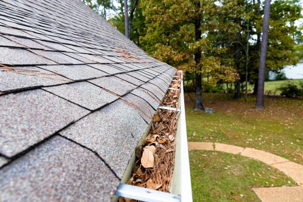 Roof gutter full of leaves and pine straws
