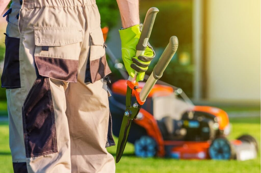 A landscape professional gardener performing weekly clean-up services