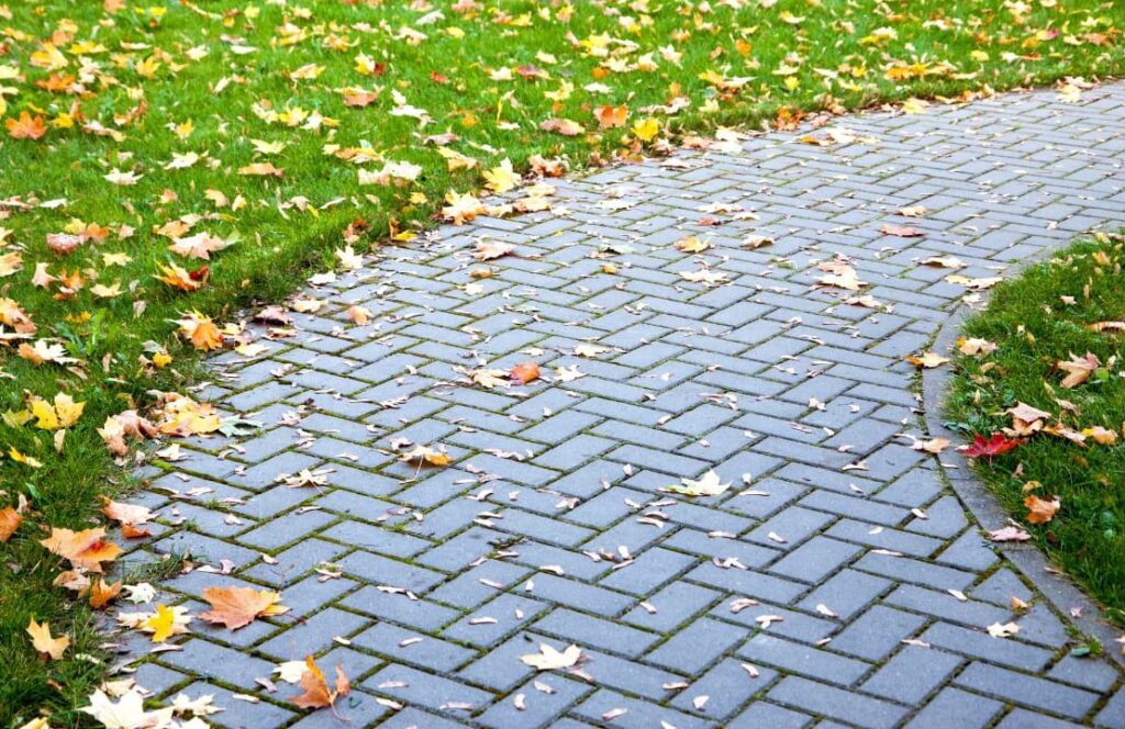 Detail of pavement and green grass in yellow leaves