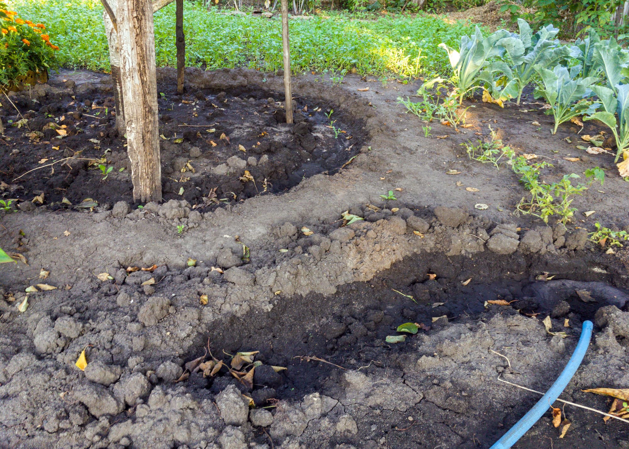 Drainage ditch in a garden