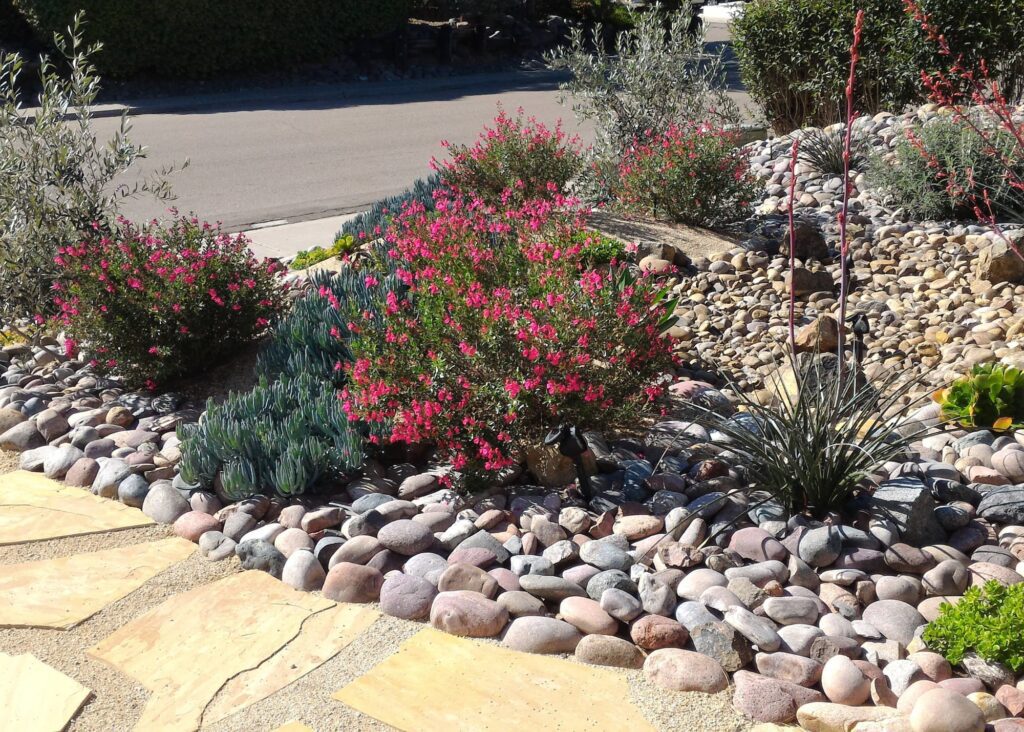 Front yard with dry creek bed