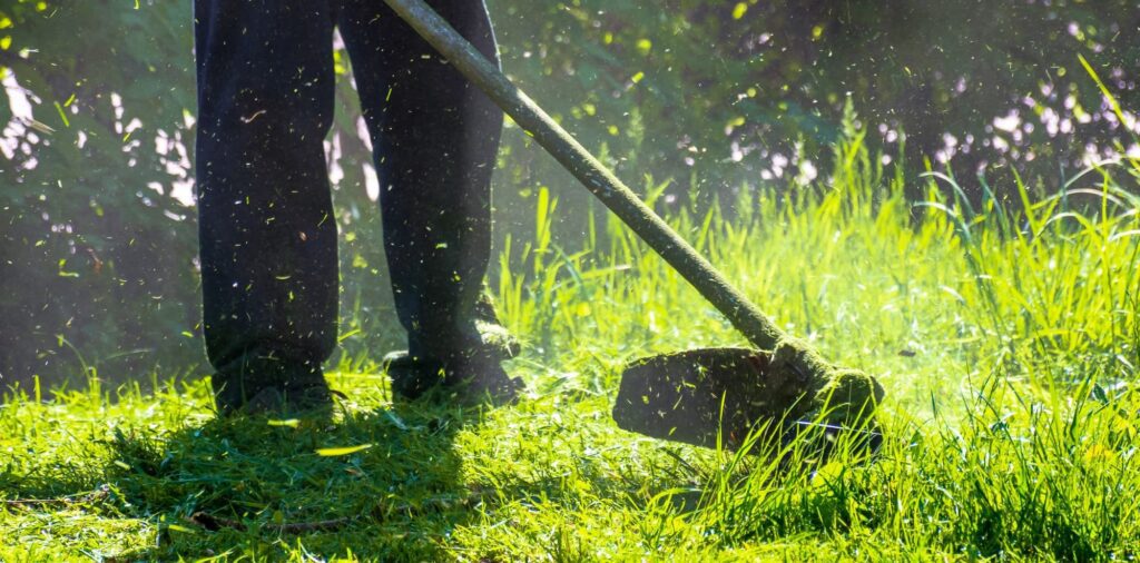 Lawn mowing experts in Naperville