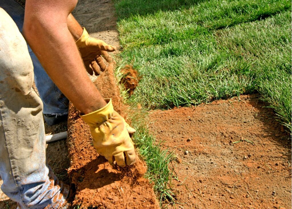 A man in jeans carefully unrolling and installing fresh green sod on a prepared soil bed.
