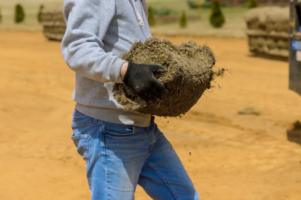 Man carrying a roll of sod, preparing to lay it down for a new lawn installation