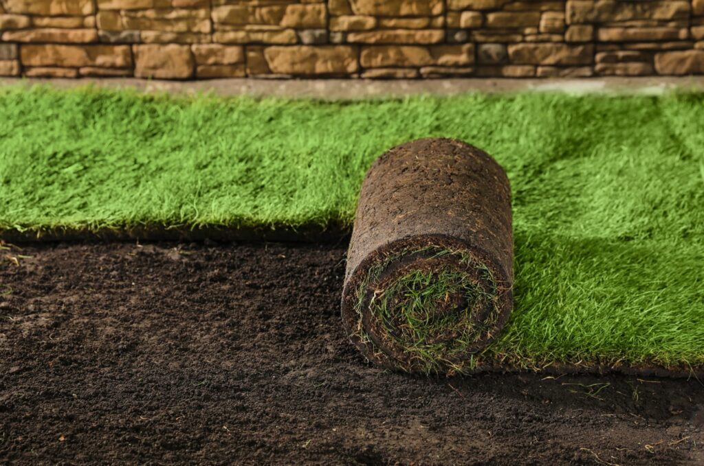 A roll of sod being laid neatly on the ground, ready to transform the area into a vibrant and inviting green lawn