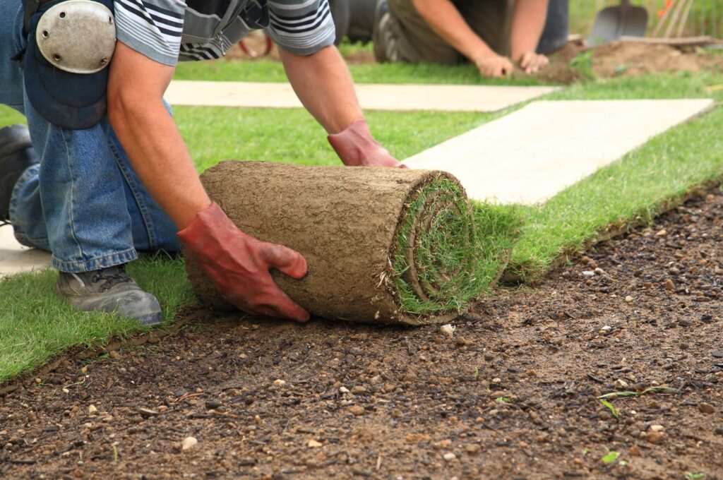 A man installing a roll of sod on top of soil