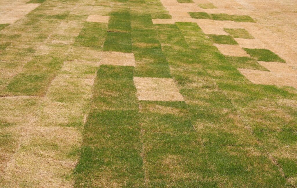 A patchwork of sod laid on the ground