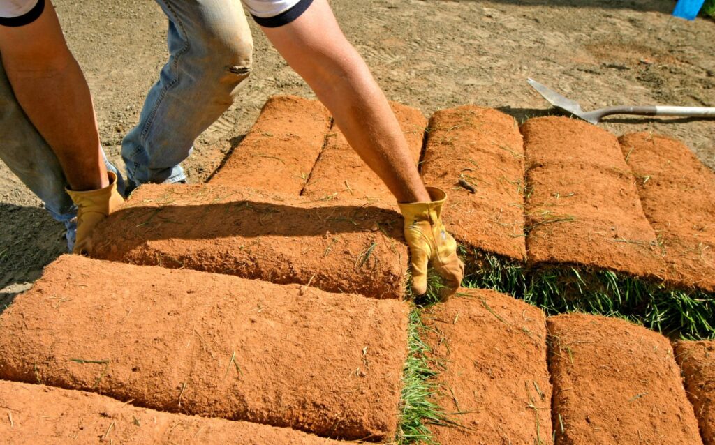 A man carefully removing a roll of sod from the stack