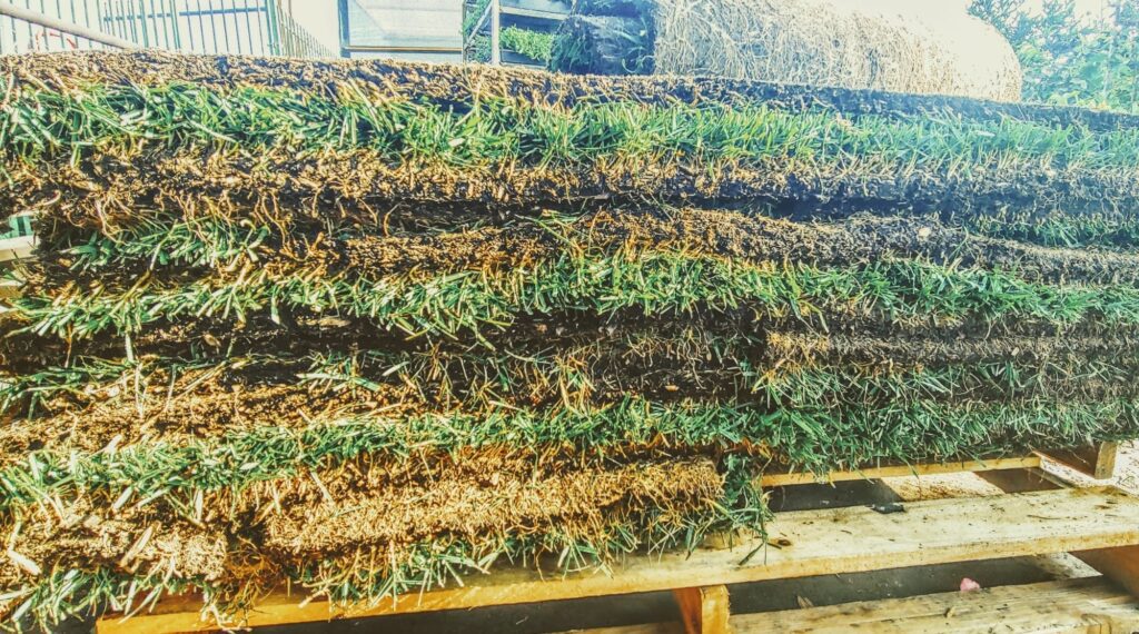 A stack of sod