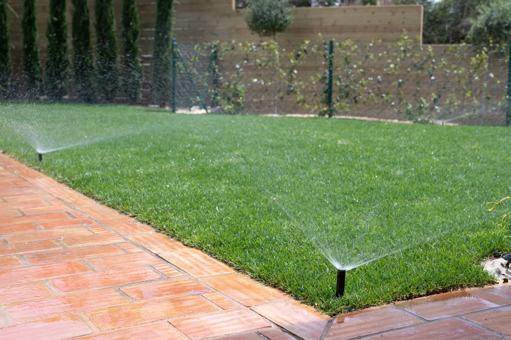 A garden sprinkler on a sunny day, which is vital for plant growth.