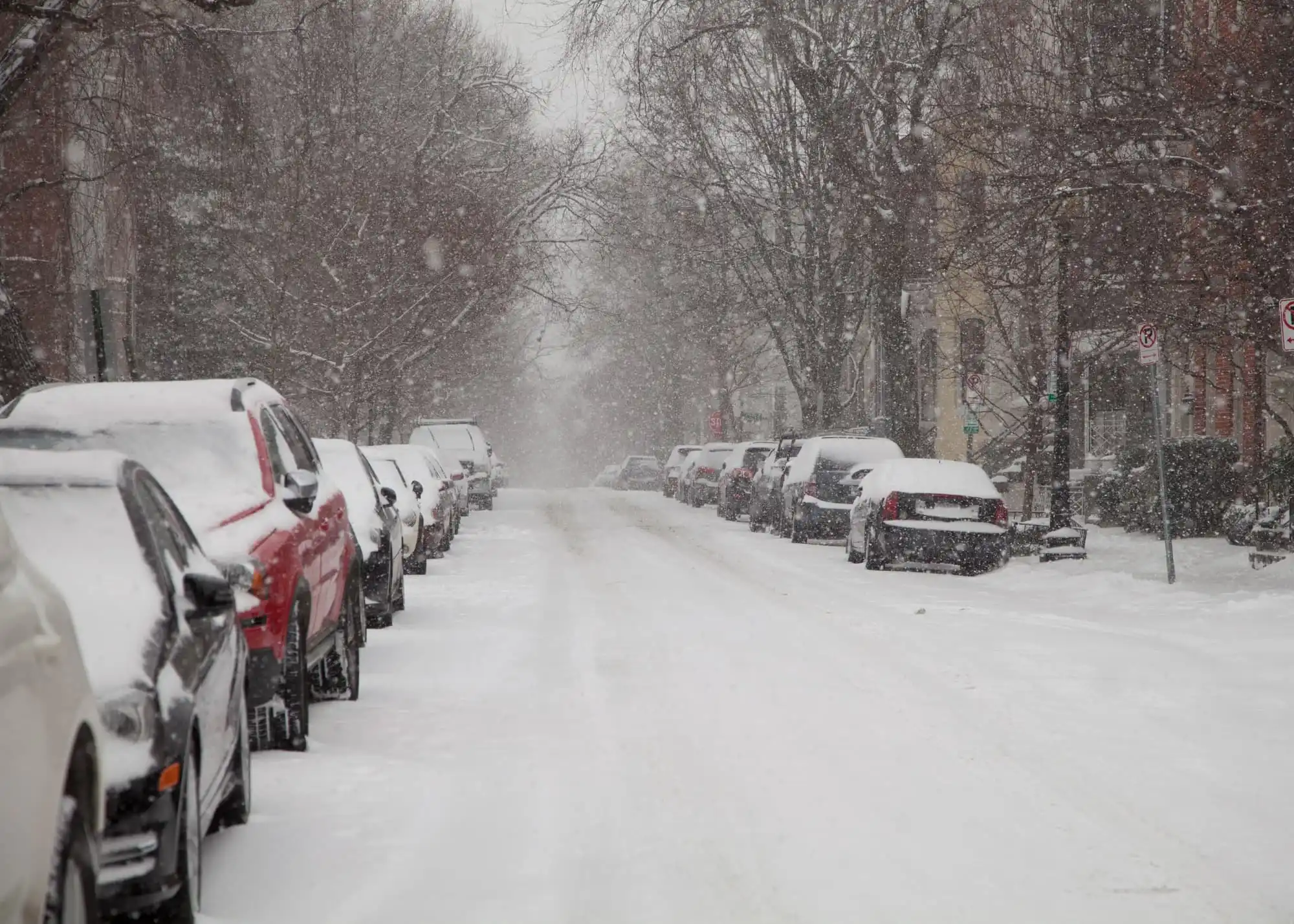 Snow removal services offered to clear snow and ice from commercial properties during the winter months.