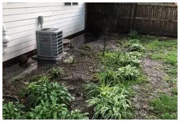 Basement Flooding