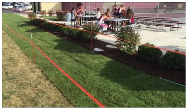 Grass Installation outside Tennis Court cover