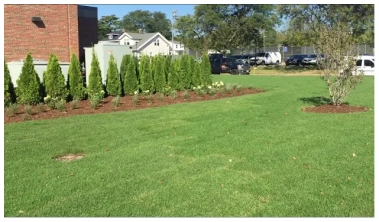 Wheaton College Landscape and Sod Install cover