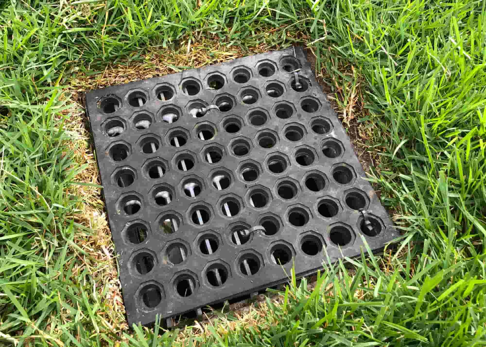 A properly installed drainage system is essential for a thriving backyard.