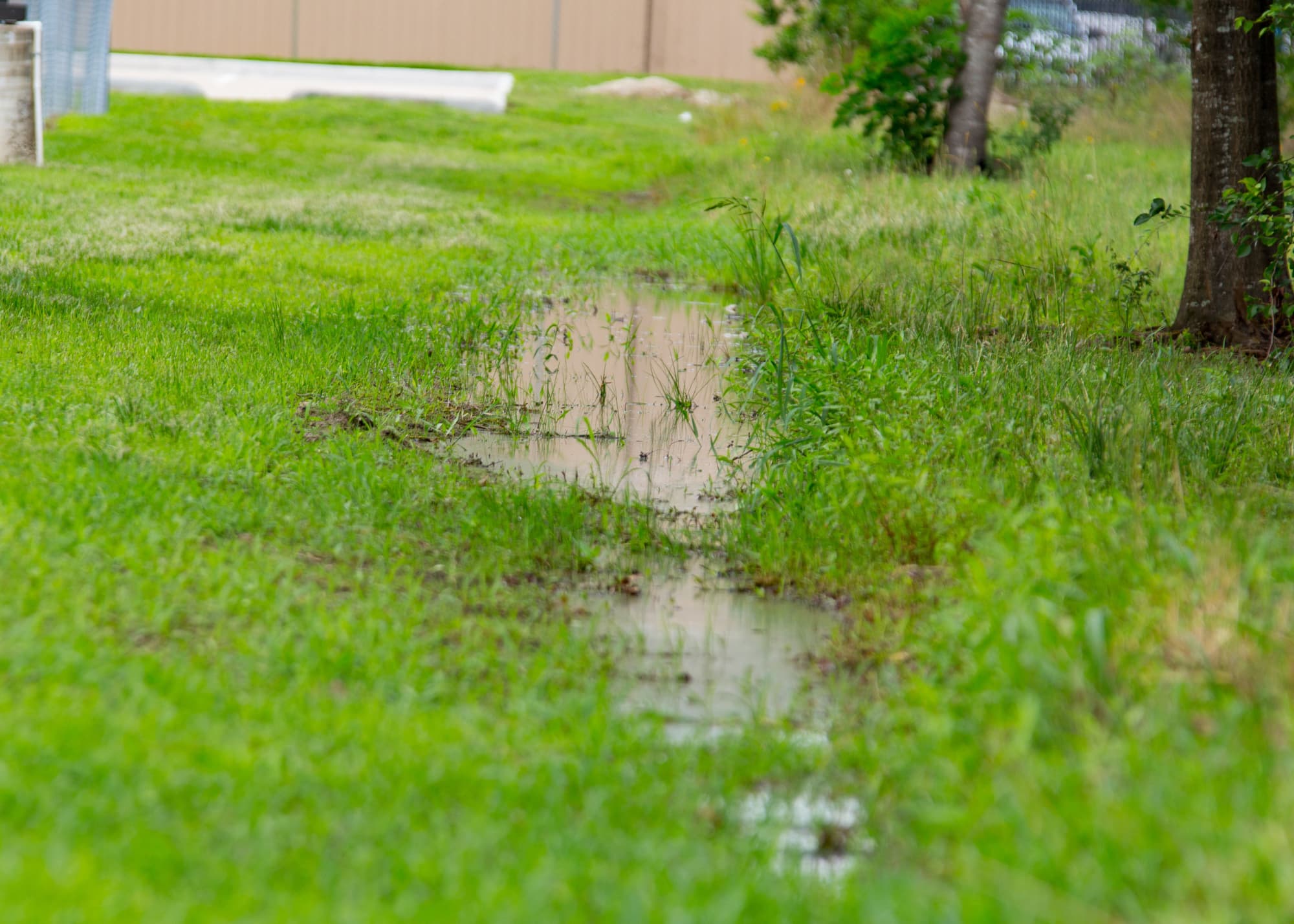 How to fix yard with water pooling