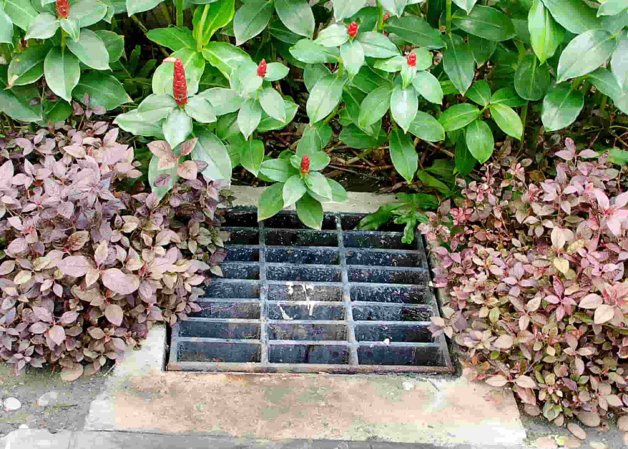 The French drain is widely favored by homeowners across the United States.