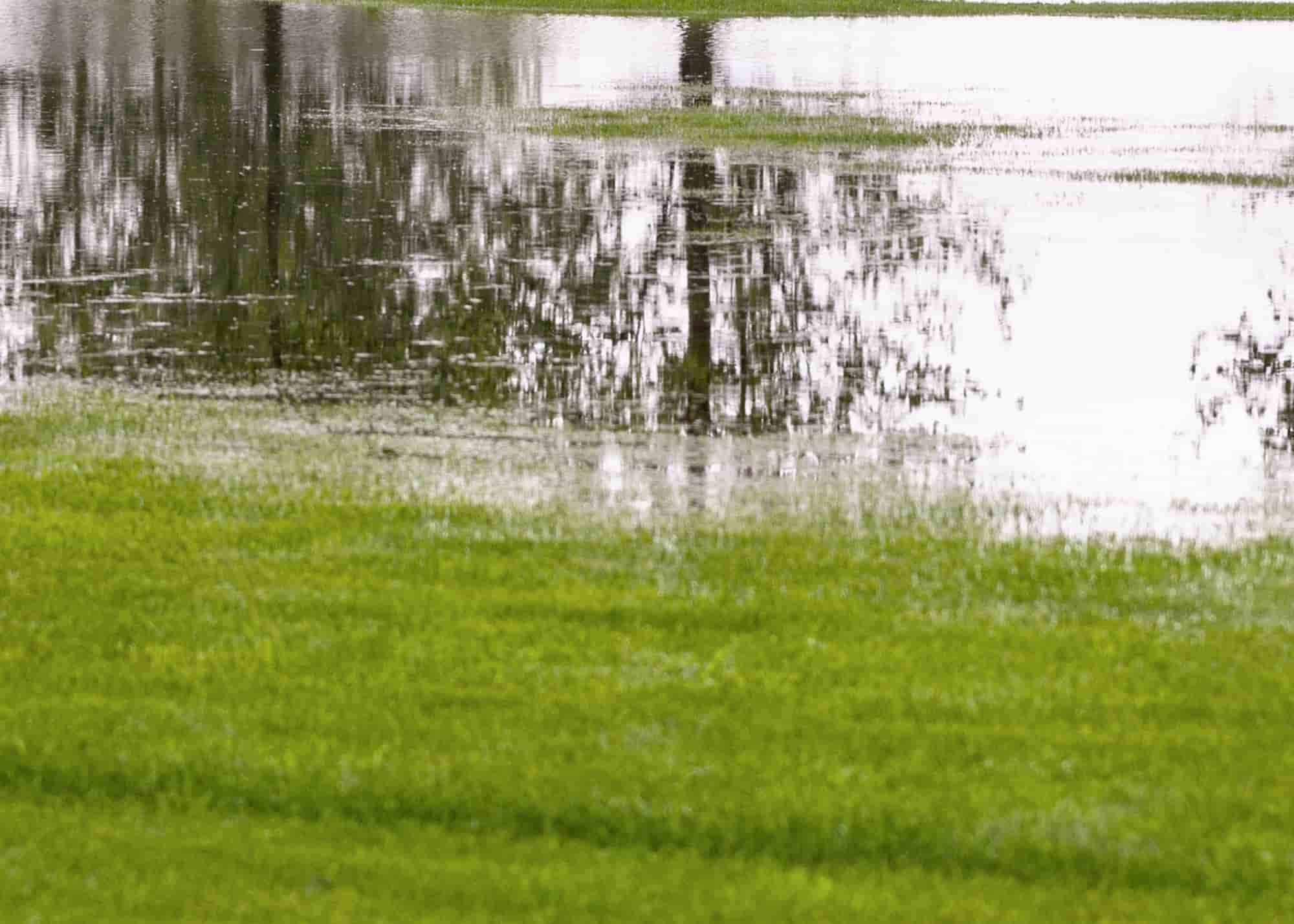 Excess water that doesn't drain can damage your home's structure and landscaping.