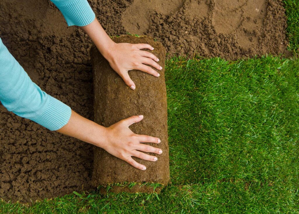 Know who to hire in Batavia for sod installation services