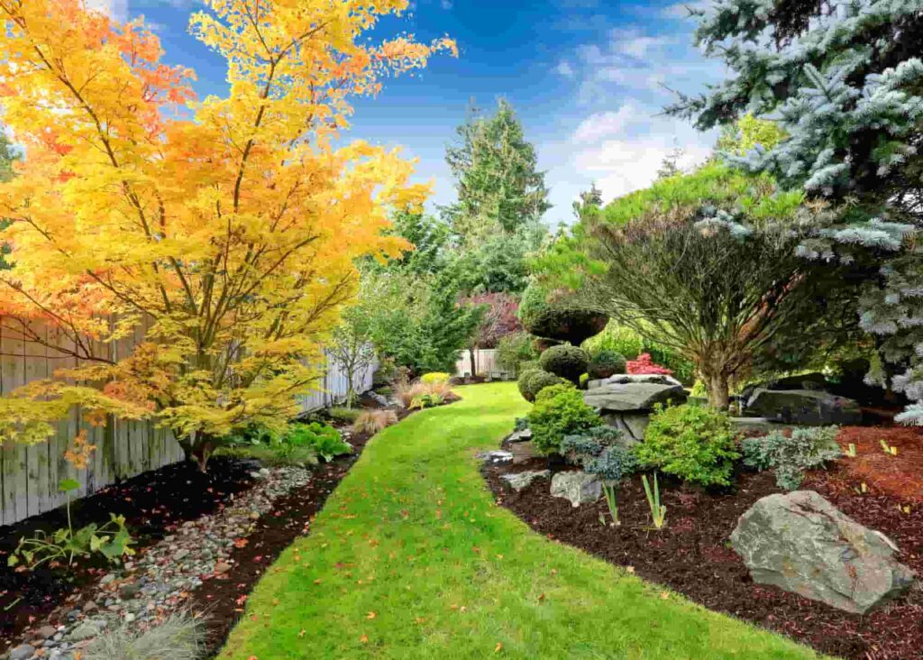 Ware Landscaping creates beautiful, sustainable landscapes in harmony with nature.